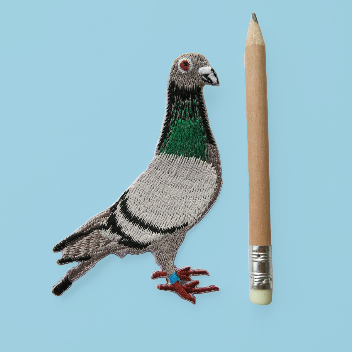 Pigeon Patch
